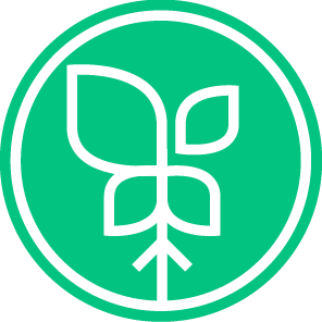 startup13